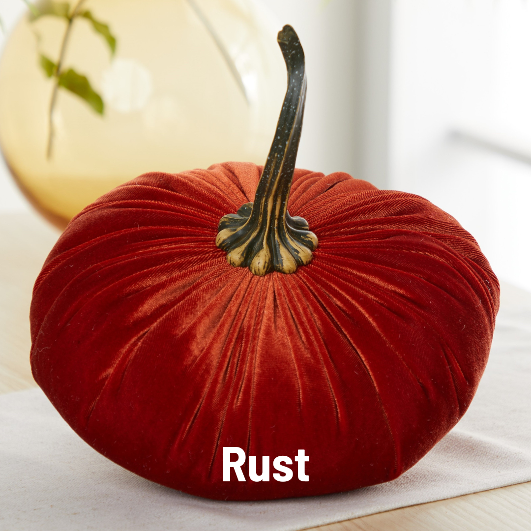 Luxe Velvet Pumpkin Extra Large - Rust