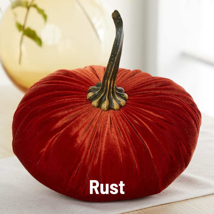 Luxe Velvet Pumpkin Extra Large - Rust