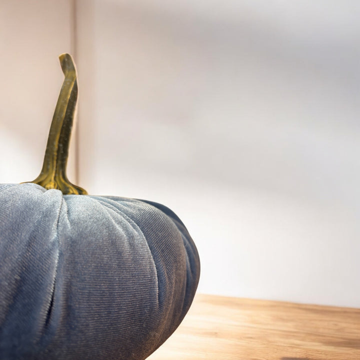 Luxe Velvet Pumpkin Extra Large - Slate Blue