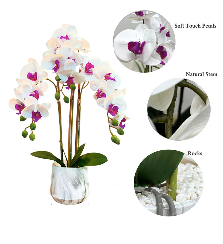21" Real touch Phalaenopsis Orchid arrangement-3 Sprays