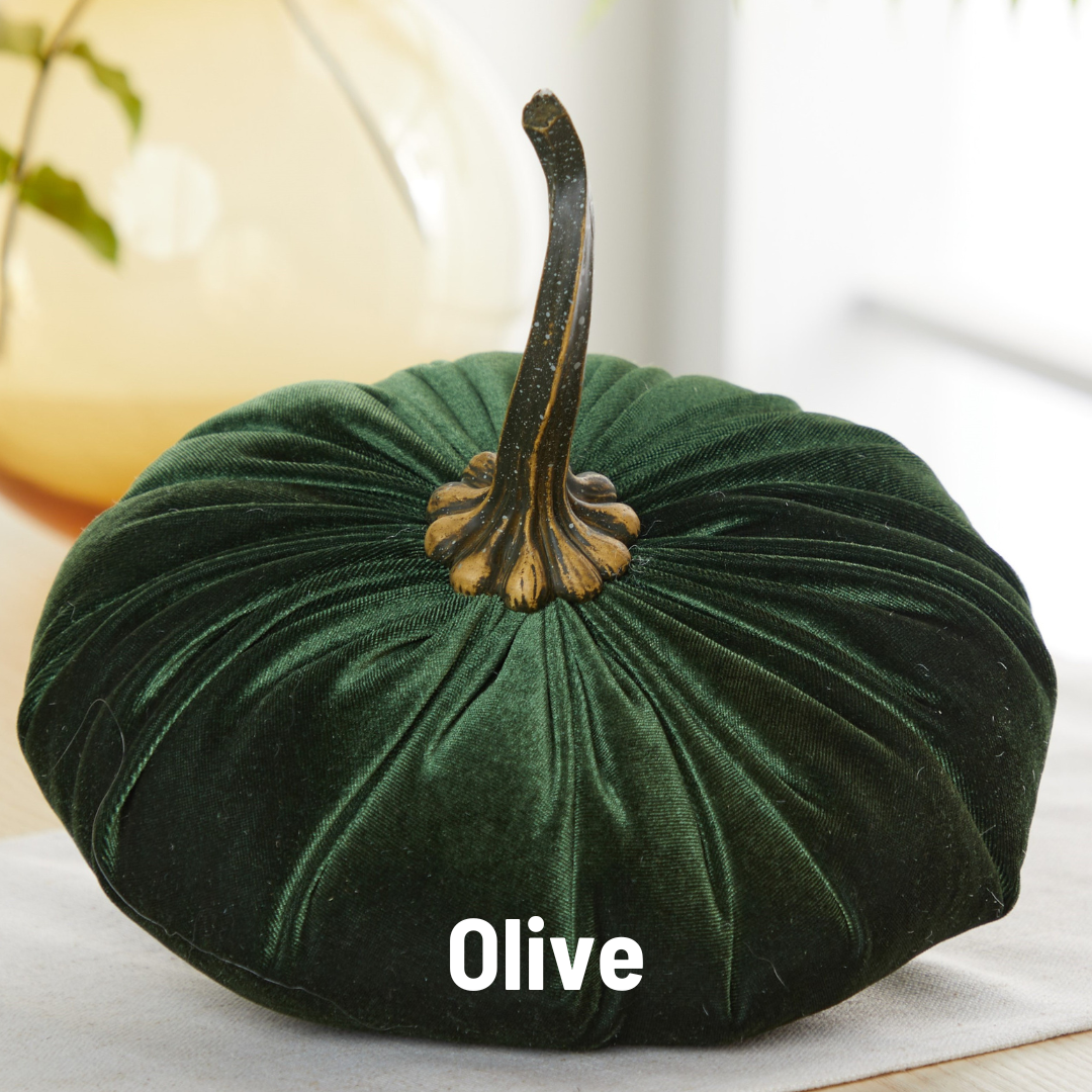 Luxe Velvet Pumpkin Extra Large - Olive