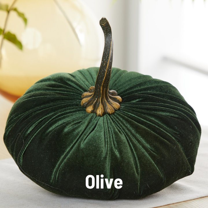 Luxe Velvet Pumpkin Extra Large - Olive