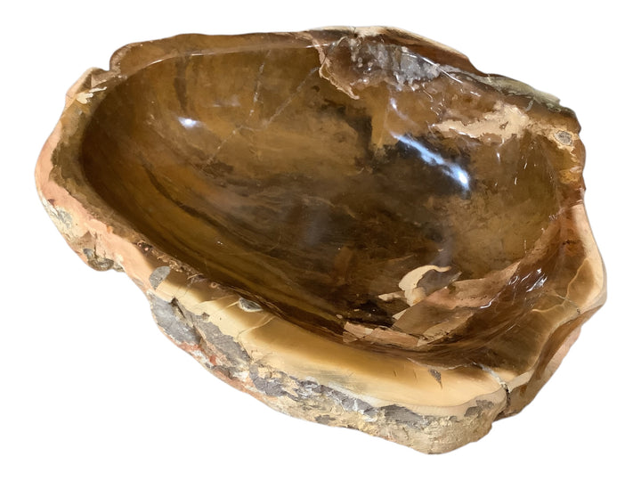 Petrified Wood Bowl