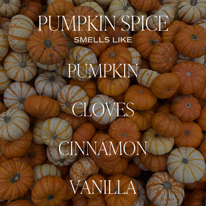 Pumpkin Spice 11 oz Soy Candle - Fall Decor & Gifts