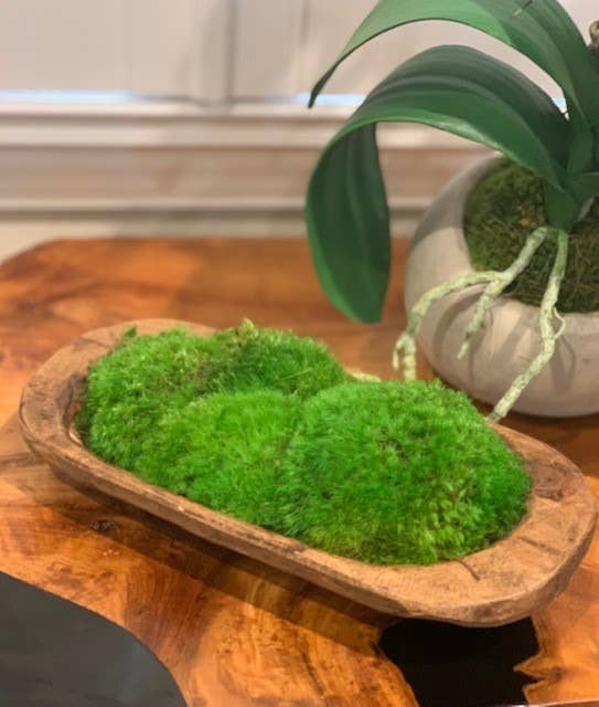 Moss Petite Wooden Dish: Natural / 10.75" x 6.5" x 3"
