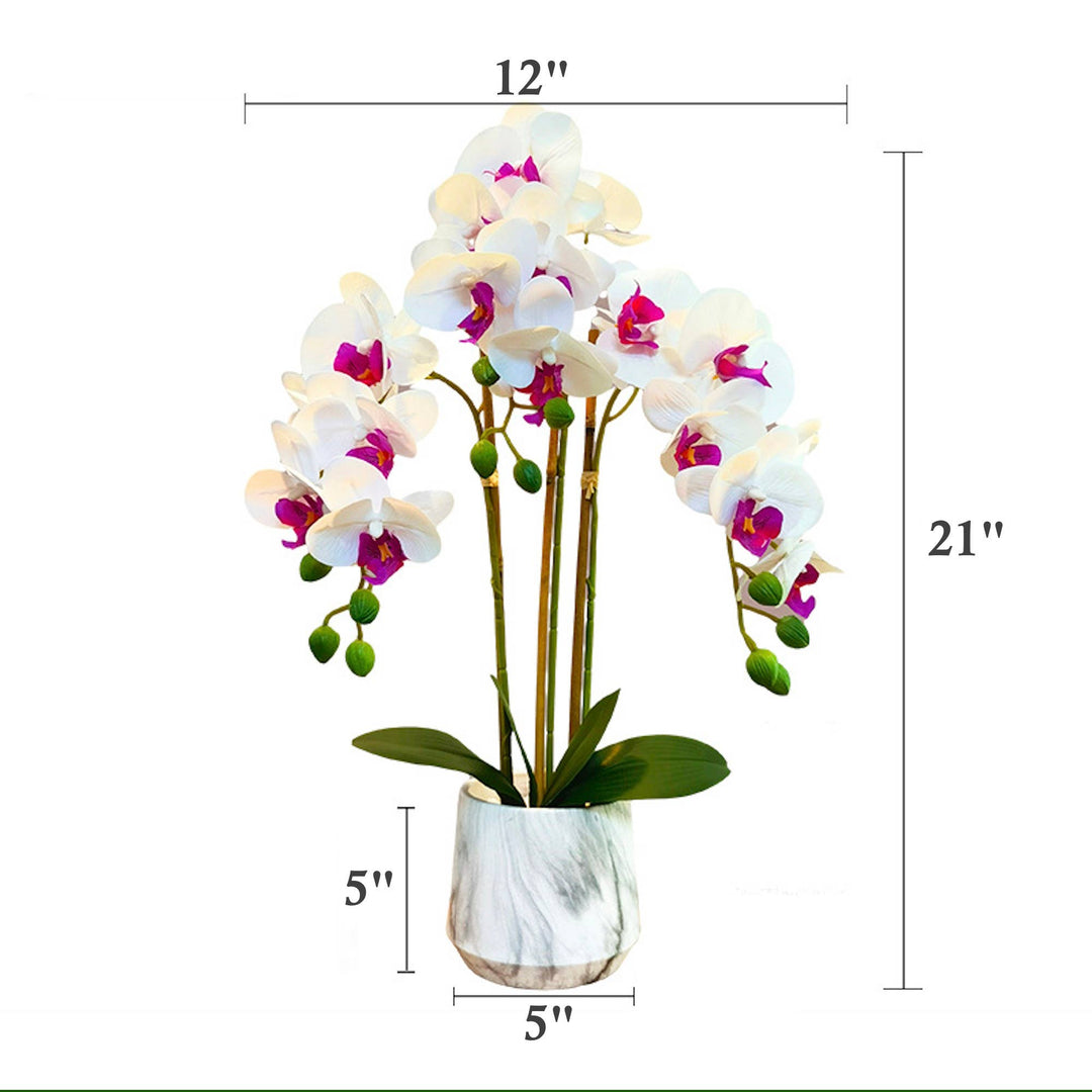 21" Real touch Phalaenopsis Orchid arrangement-3 Sprays