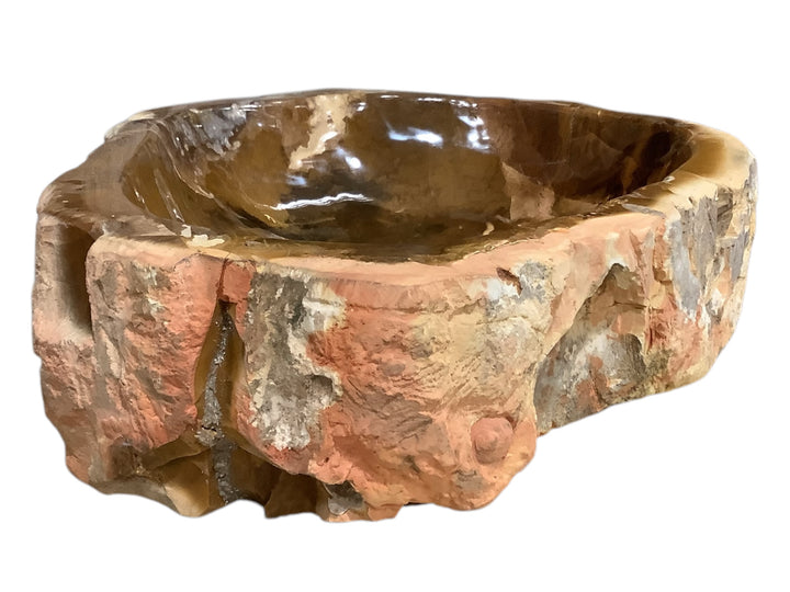 Petrified Wood Bowl