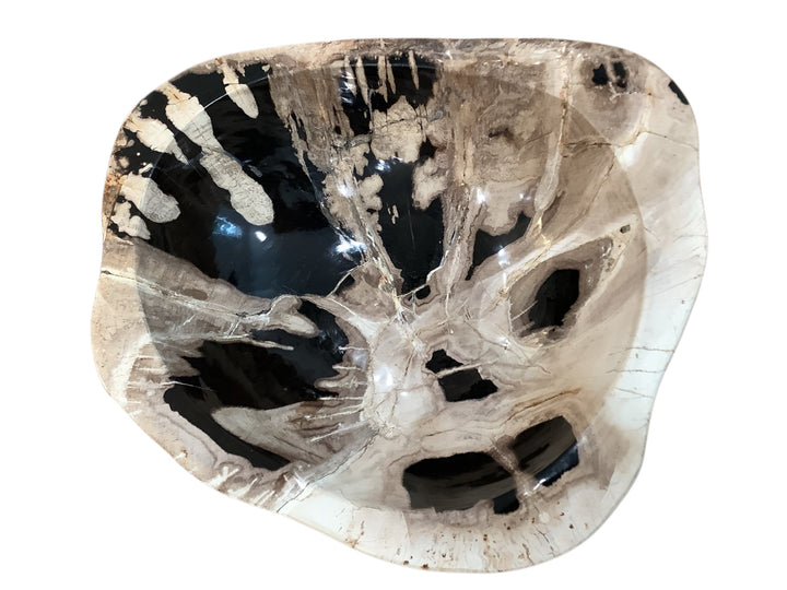 Petrified Wood Bowl