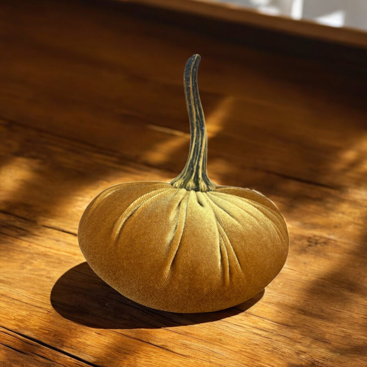 Luxe Velvet Pumpkin Large - Gold