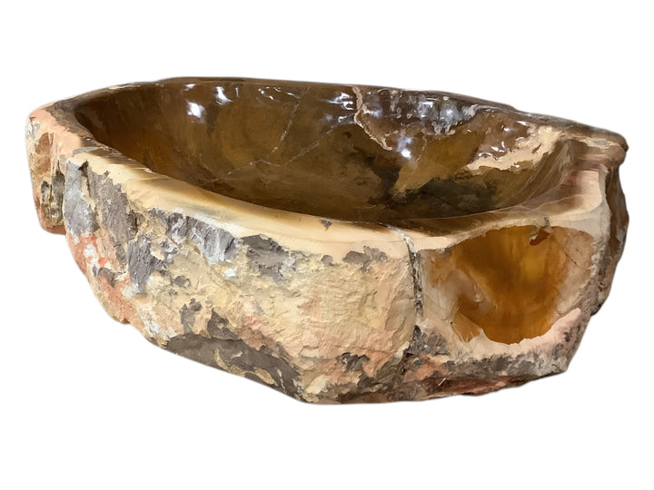 Petrified Wood Bowl
