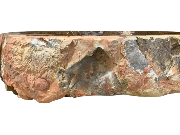 Petrified Wood Bowl