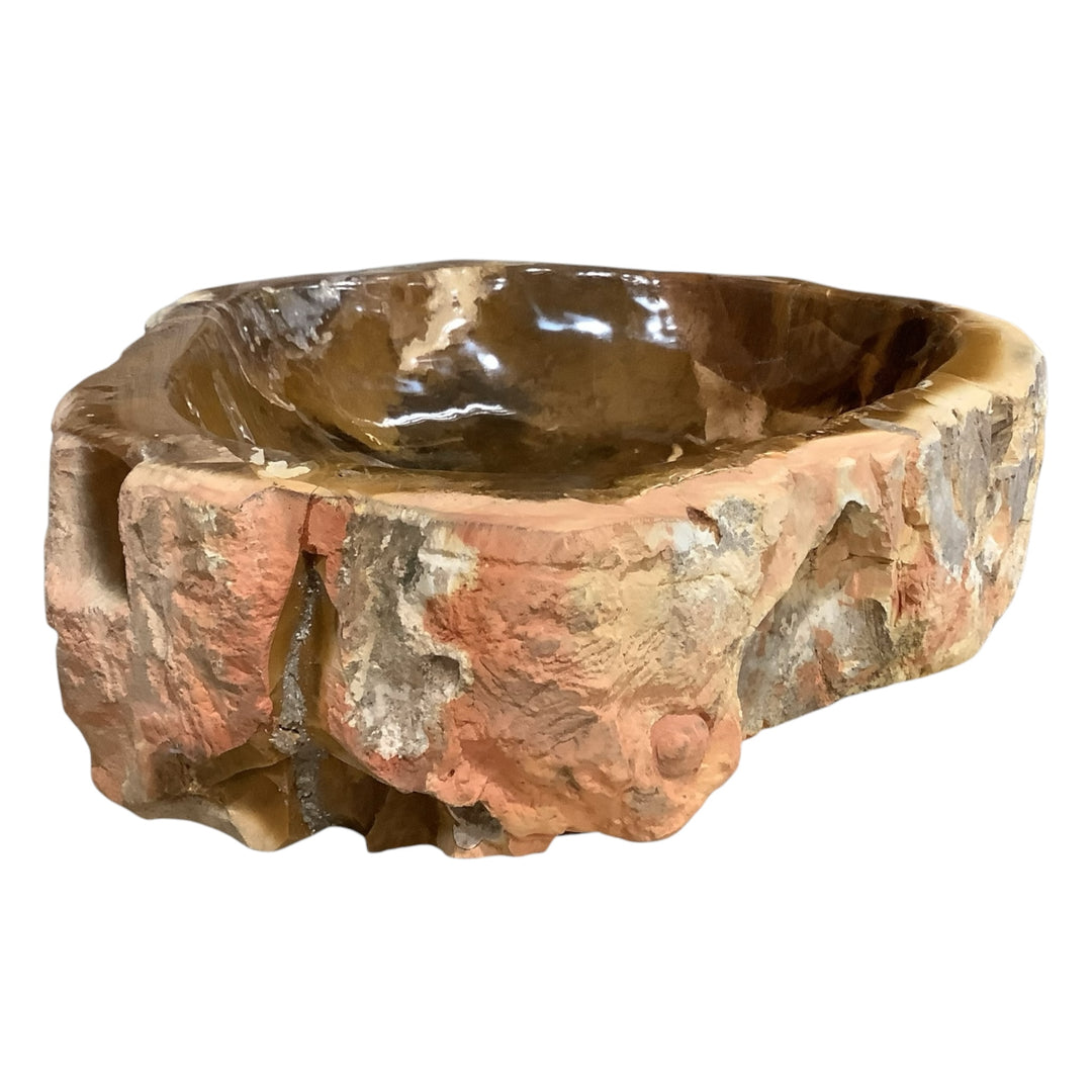Petrified Wood Bowl