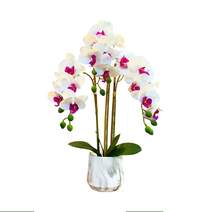 21" Real touch Phalaenopsis Orchid arrangement-3 Sprays
