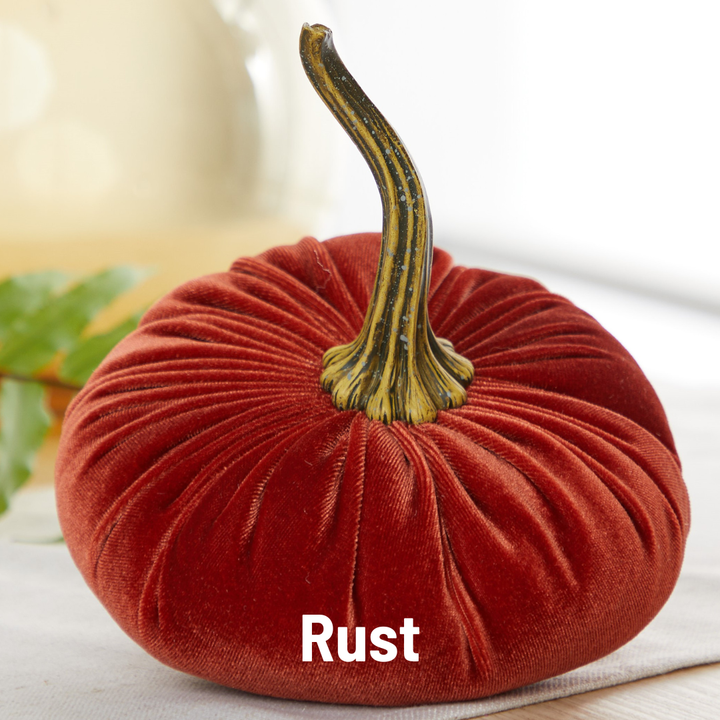 Luxe Velvet Pumpkin Large - Rust