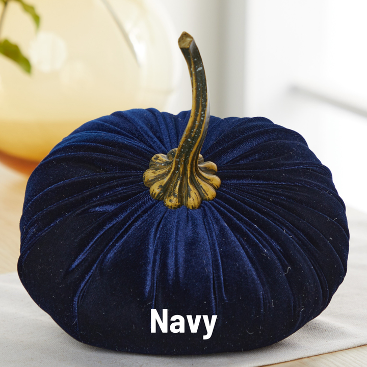 Luxe Velvet Pumpkin Extra Large - Navy