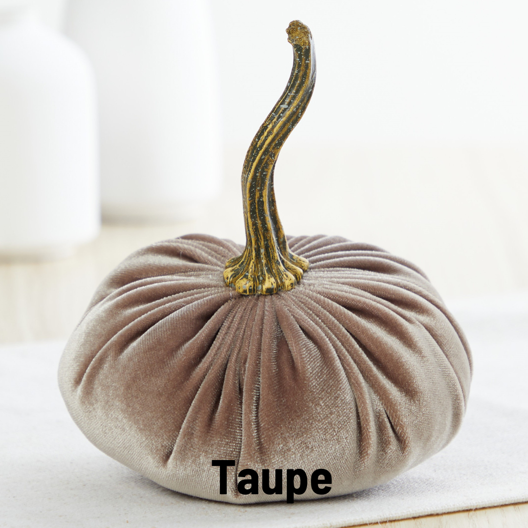 Luxe Velvet Pumpkin Small - Taupe