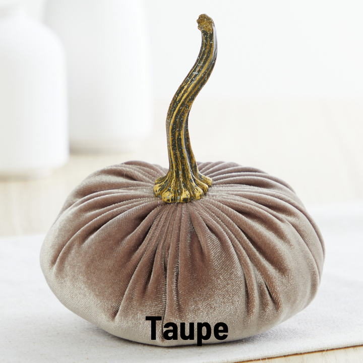 Luxe Velvet Pumpkin Small - Taupe