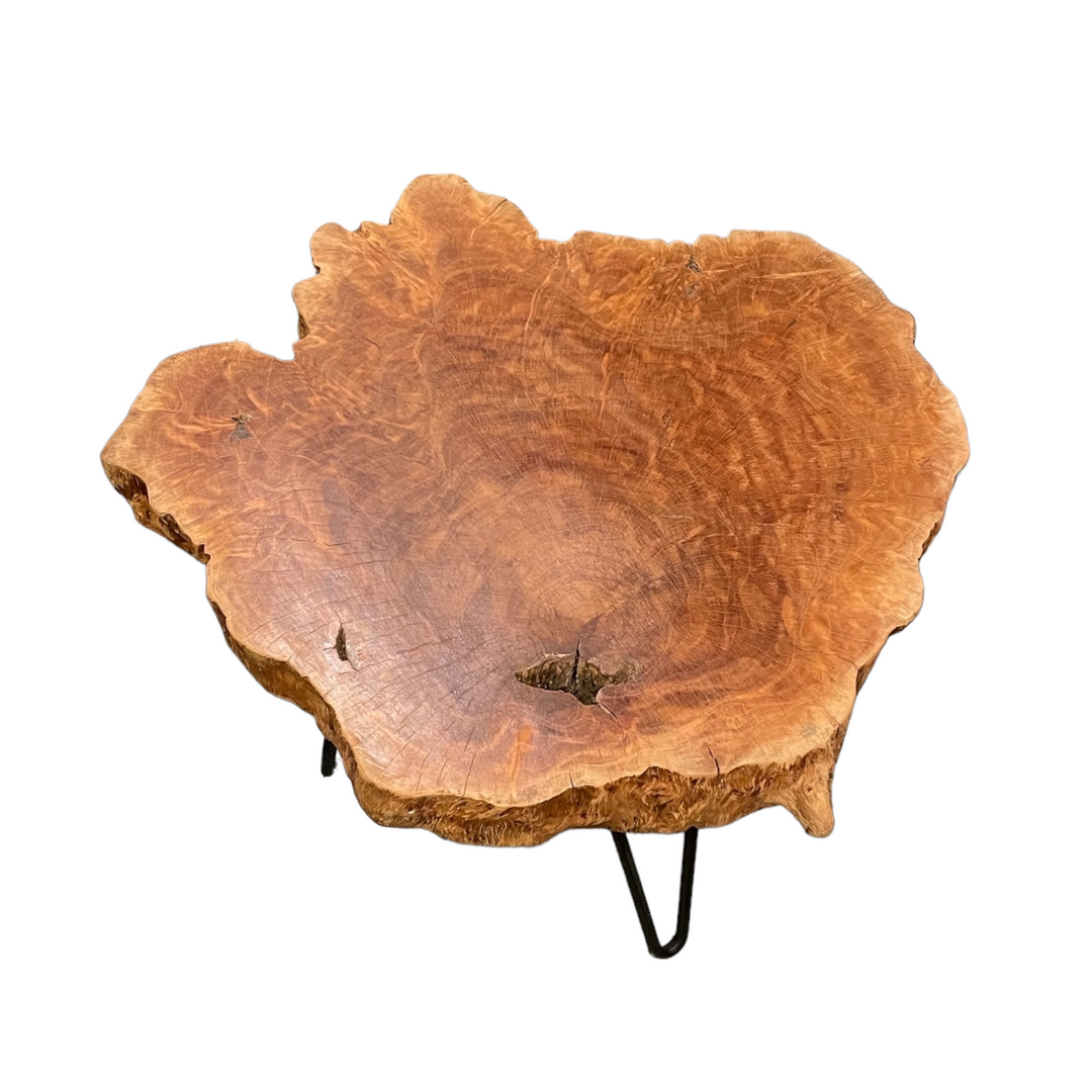 Kelengkeng Wood Live Edge Coffee Table